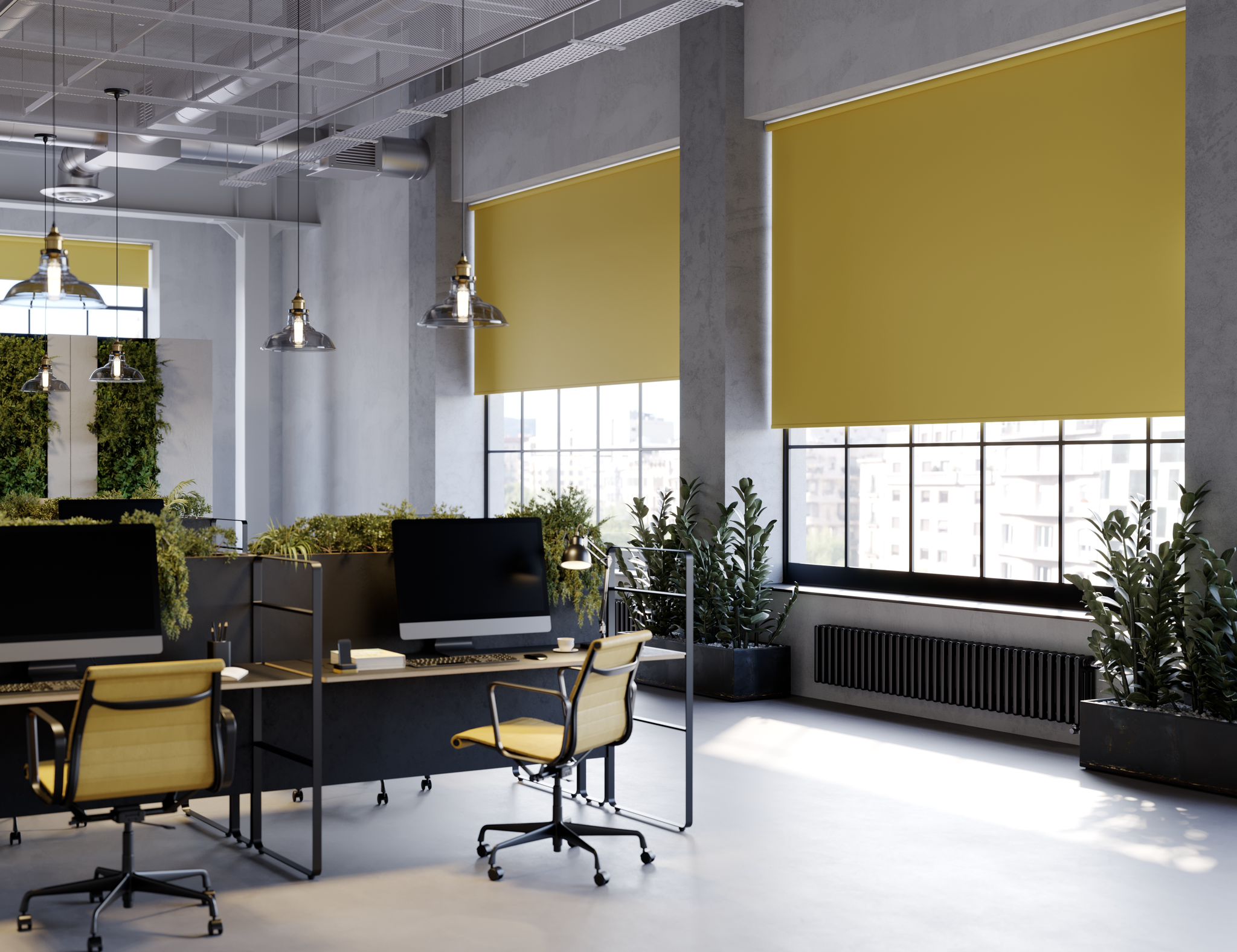 Office Roller blinds